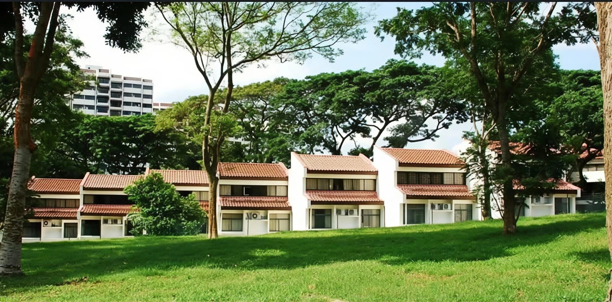 High-floor 3-bedroom Sommerville Park rental with balcony and unblocked view — image 3